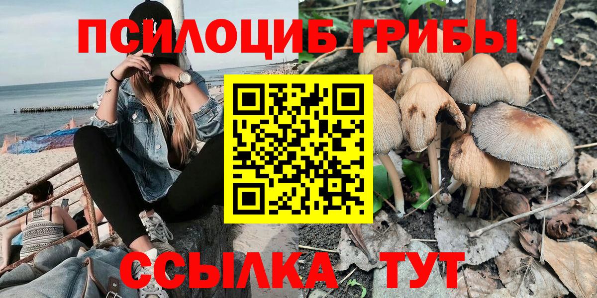 Галлюциногенные грибы MAGIC MUSHROOMS  Псилоцибиновые грибы прущие грибы  Вход с VPN  Тайшет 